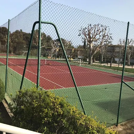 T3 Vue Piscine Proche 博尔马斯·莱斯·米默萨斯
