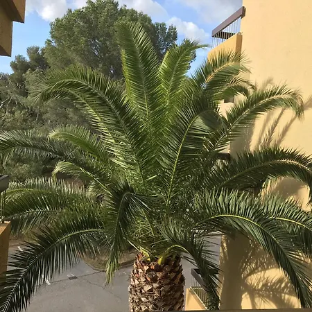 T3 Vue Piscine Proche